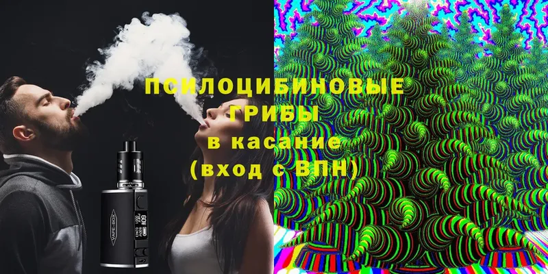 Галлюциногенные грибы Cubensis  ссылка на мегу как зайти  Вельск 